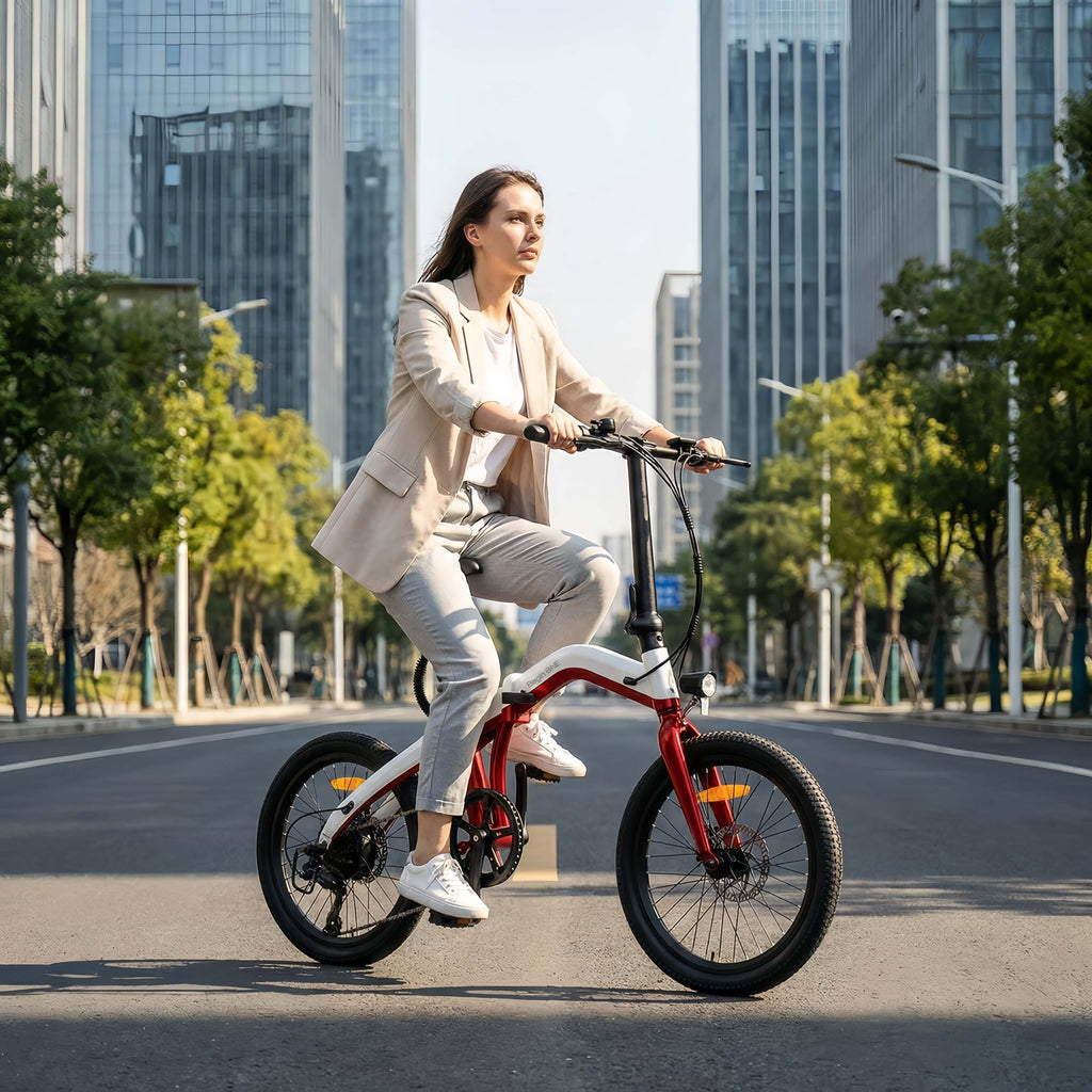 BeginONE Foldable eBike--T10