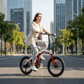 BeginONE Foldable eBike--T10