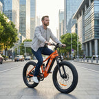 BeginONE Mountain eBike--M7F