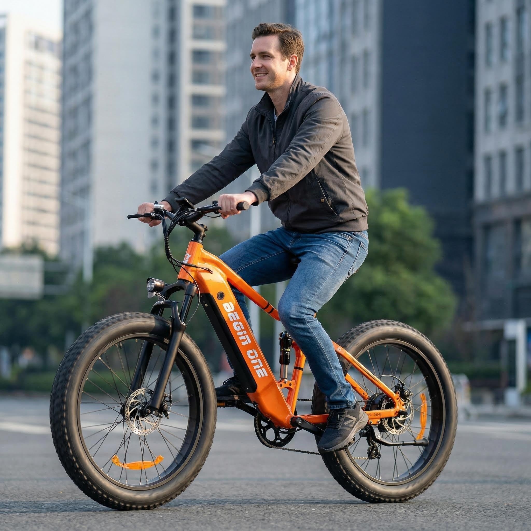 BeginONE Mountain eBike--M7F