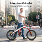 BeginONE Foldable eBike--T10