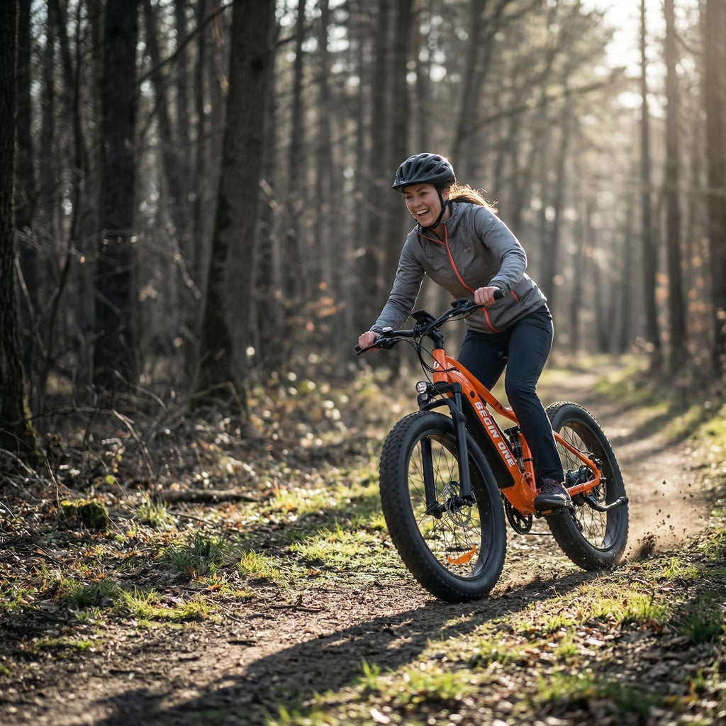 BeginONE Mountain eBike--M7F