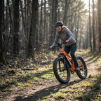 BeginONE Mountain eBike--M7F