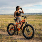 BeginONE Mountain eBike--M7F