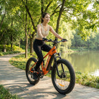 BeginONE Mountain eBike--M7F