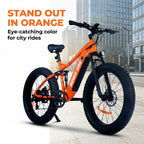 BeginONE Mountain eBike--M7F