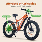 BeginONE Mountain eBike--M7F