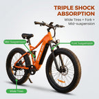 BeginONE Mountain eBike--M7F